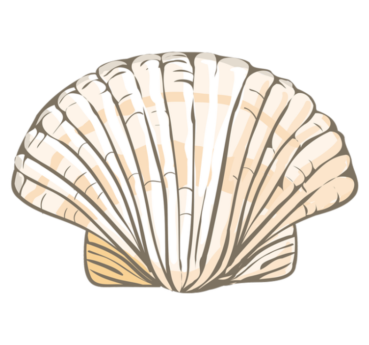 Vinyl Teppich Tiere muschelillustration - TenStickers