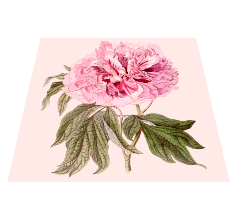 Vinyl teppich blumen pfingstrose in pink - TenStickers