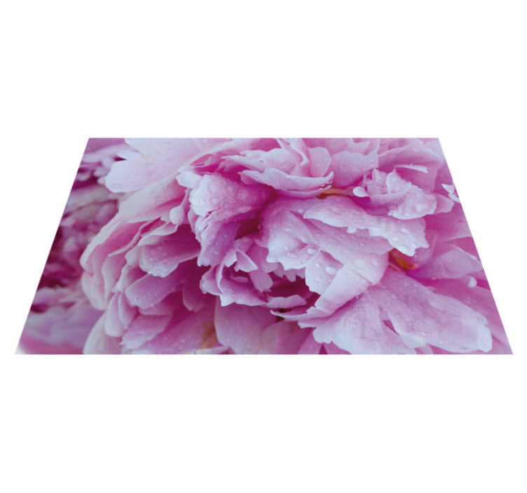 Vinyl Teppich Blumen rosa pfingstrosenblüte - TenStickers