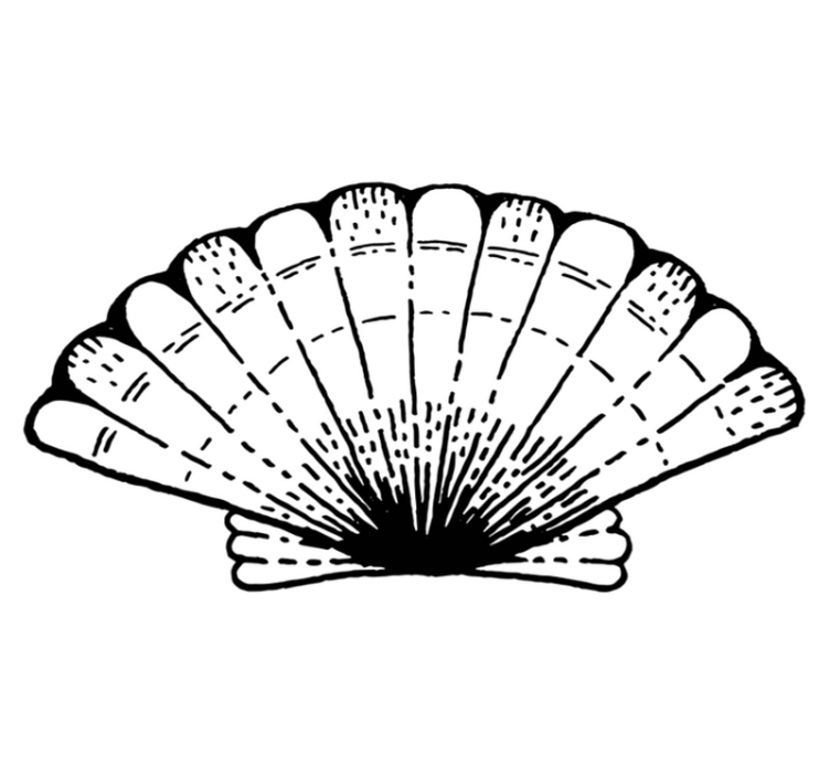 Vinyl Teppich Natur akzent mit muschelmuster - TenStickers