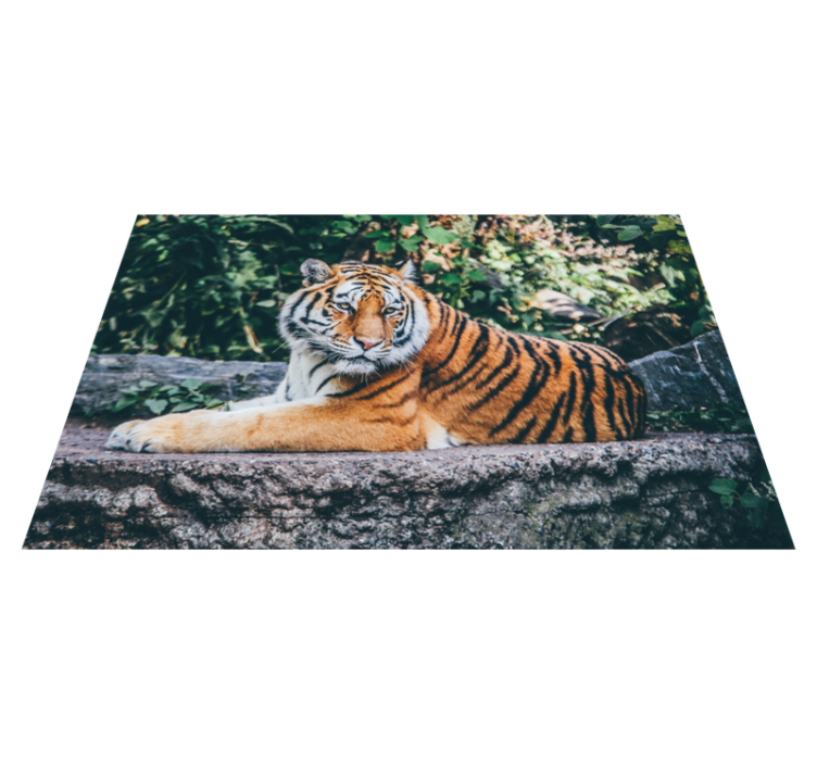 Vinyl Teppich Tiere majestätischer tiger liegend - TenStickers
