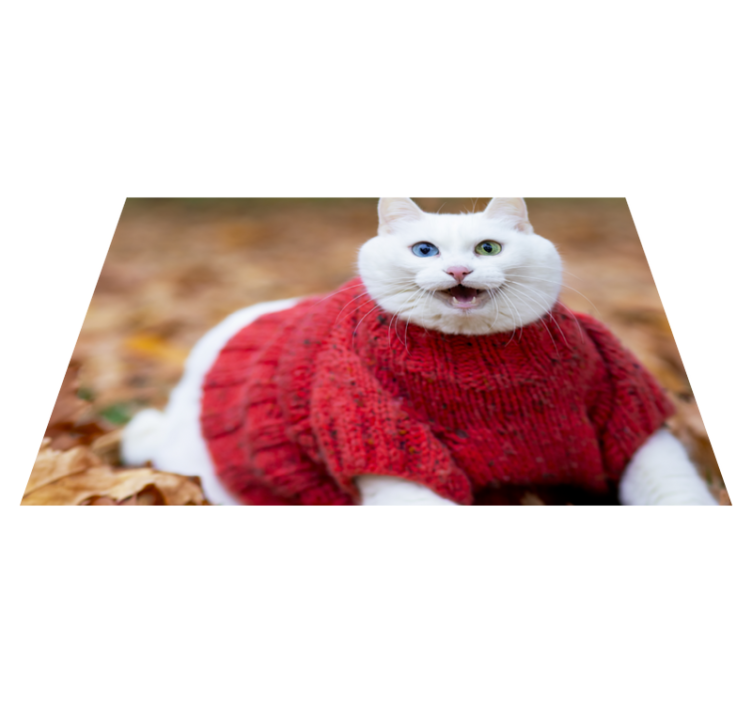 Vinyl Teppich Tiere verspielter katzenpullover - TenStickers