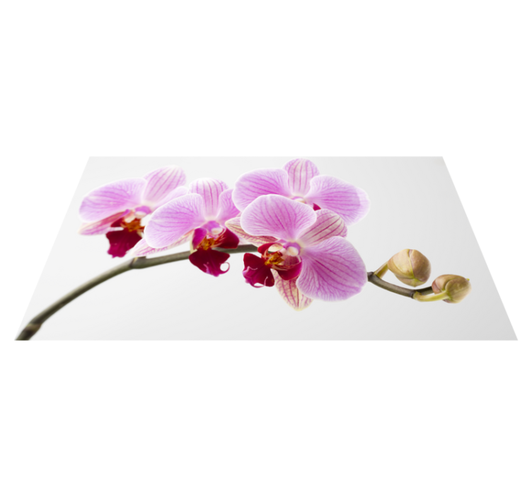 Vinyl Teppich Blumen rosa orchideen-design - TenStickers