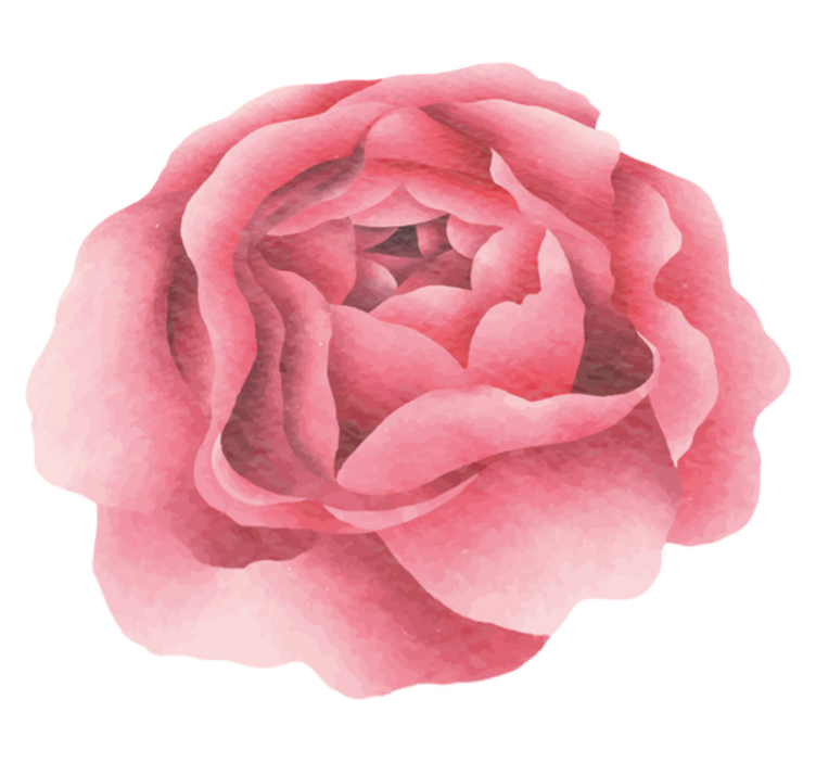 Vinyl Teppich Blumen erröten rosa blüte - TenStickers