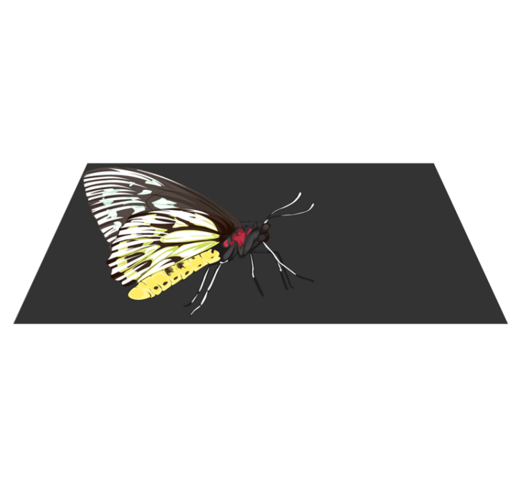 Vinyl Teppich Natur schmetterlingsbilder - TenStickers