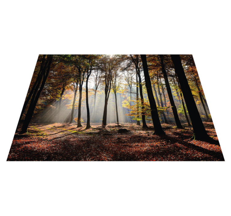 Vinyl Teppich Natur Wald Ruhe - TenStickers