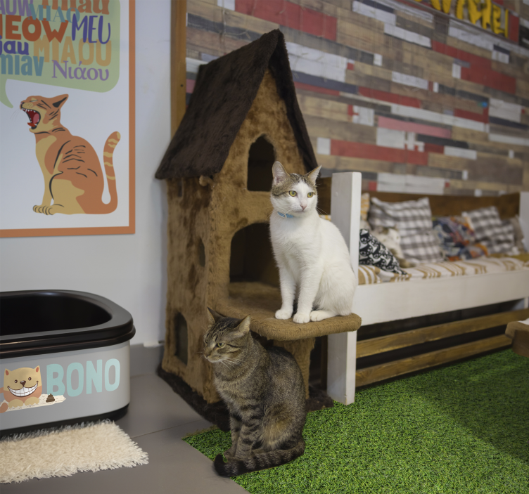 Vinyl Teppich Textur gras Oberfläche - TenStickers