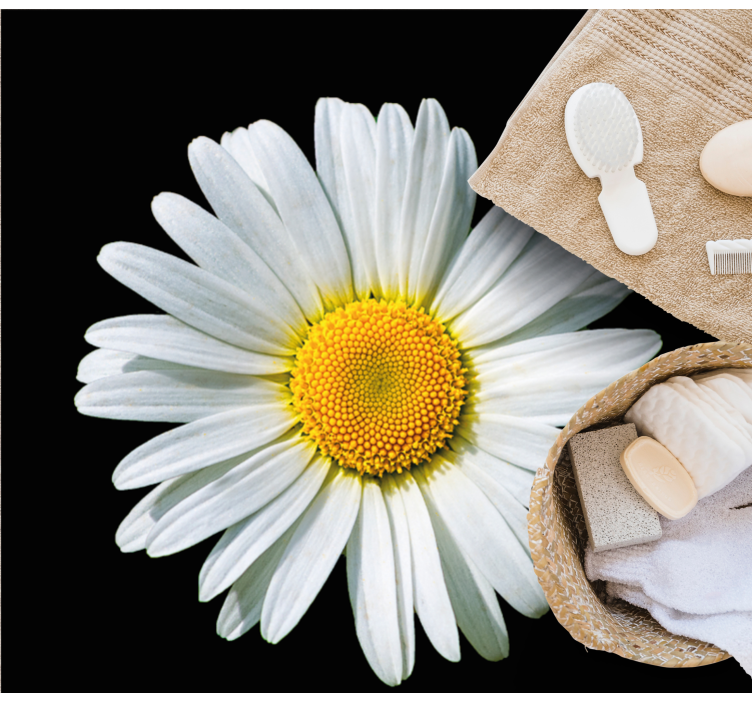 Vinyl Teppich Blumen gänseblümchenblüte - TenStickers