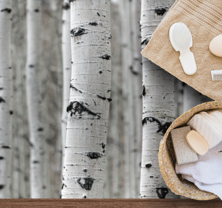 Vinyl Teppich Natur birkenwald - TenStickers