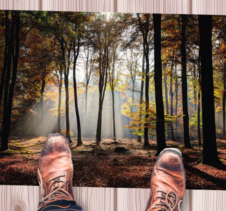 Vinyl Teppich Natur Wald Ruhe - TenStickers