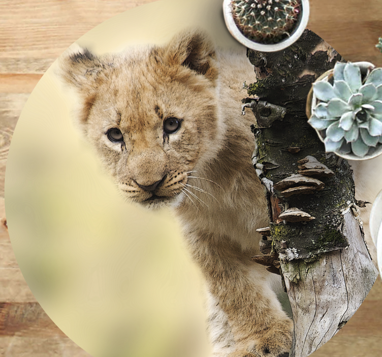 Vinyl Teppich Tiermuster neugieriges löwenjunges - TenStickers
