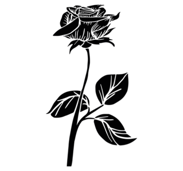 Vinyl teppich bad rose für duschabtrennung - TenStickers