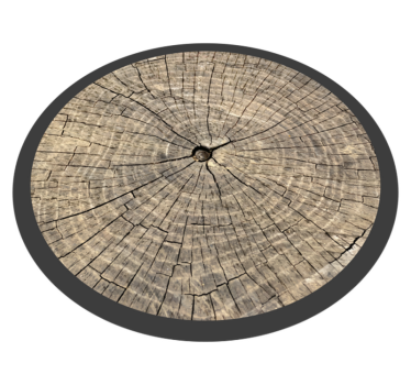 Vinylteppich Holzoptik stammquerschnitt - TenStickers