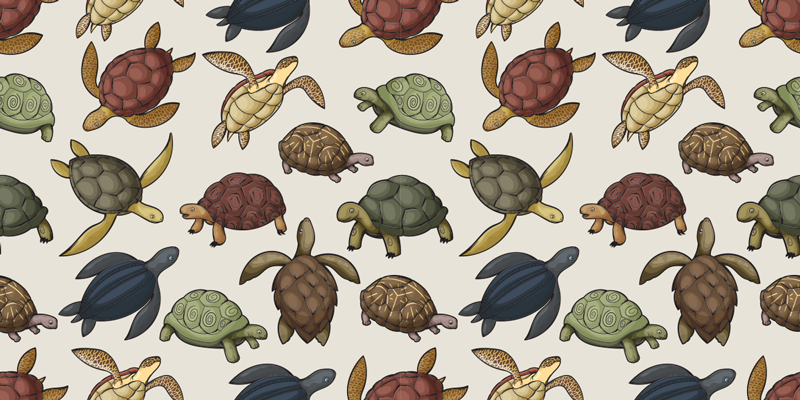 Vinyl teppich tiere auswahl an schildkröten - TenStickers
