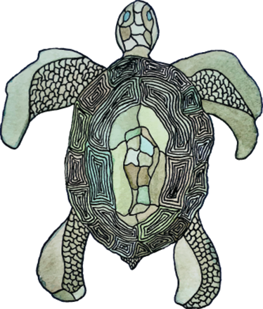 Vinyl teppich tiere klassische schildkröte - TenStickers