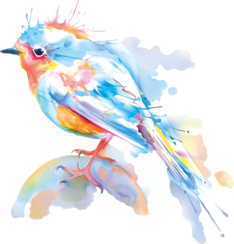 Vinyl teppich tiere vogel spritzer - TenStickers