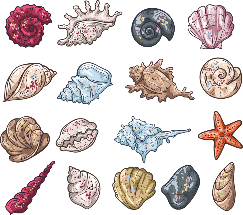 Vinyl teppich tiere muschelmuster zeichnungen - TenStickers