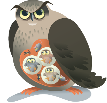 Vinyl teppich tiere mutter eule - TenStickers