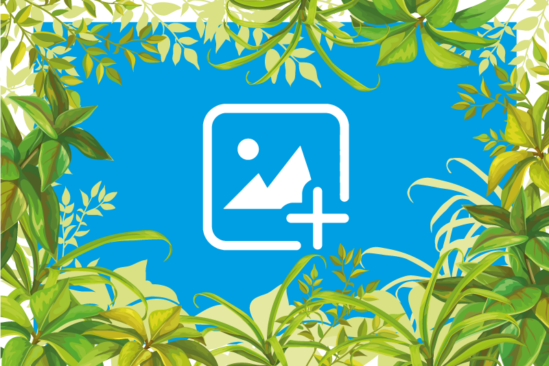 Vinyl teppich tiere katze im grünen - TenStickers