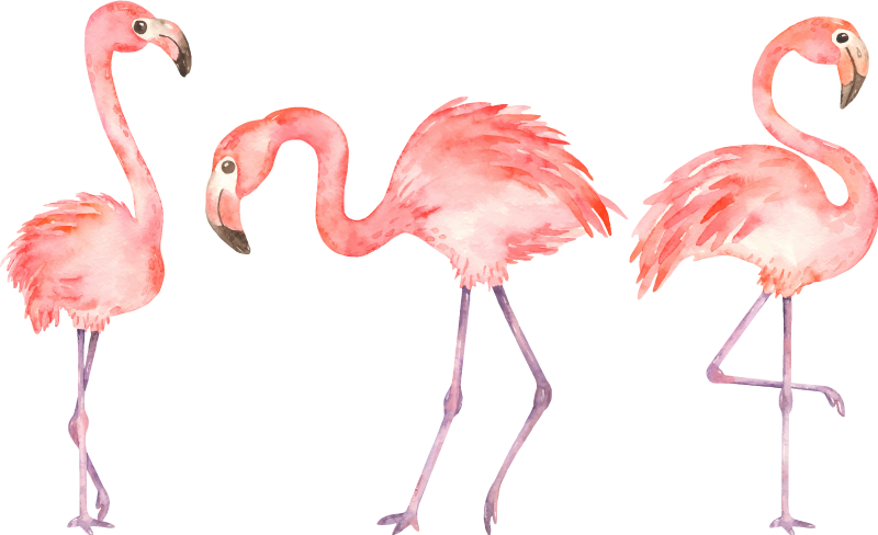 Vinyl teppich tiere elegantes flamingo trio - TenStickers