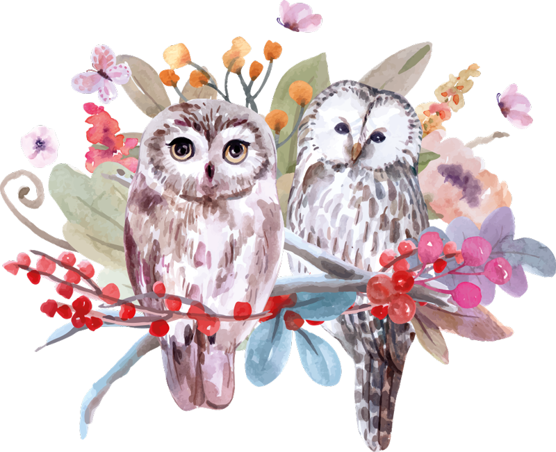 Vinyl teppich tiere eulen in der natur - TenStickers