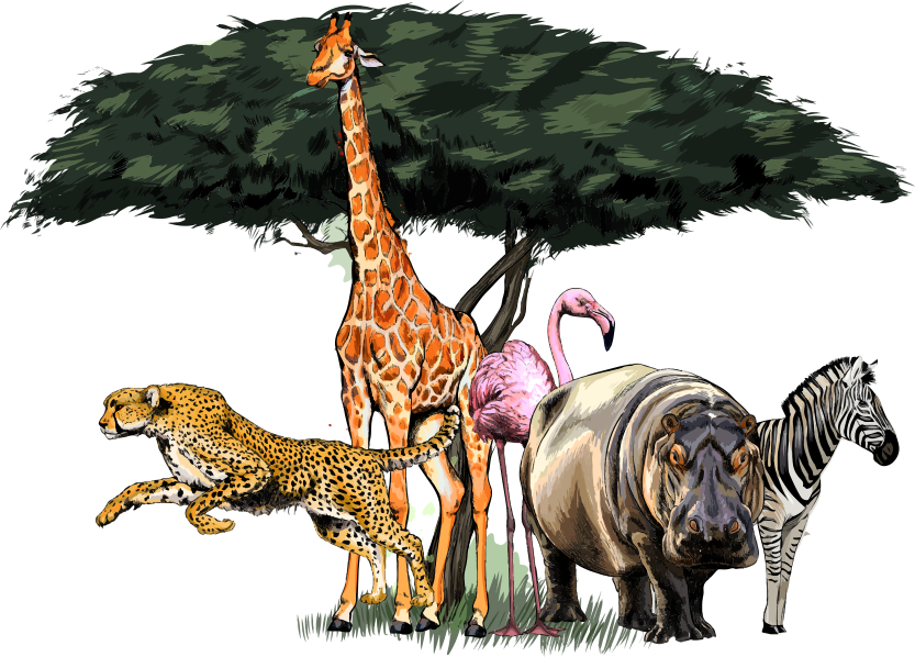 Vinyl teppich tiere giraffenfamilie safari - TenStickers