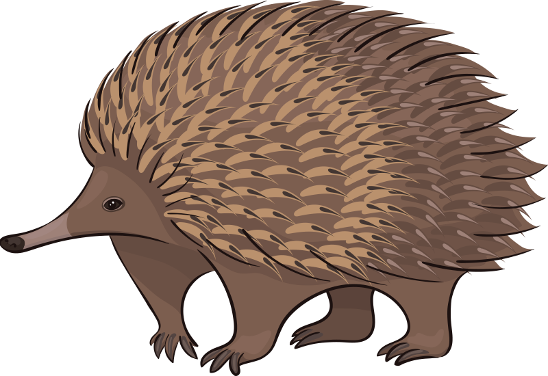 Vinyl teppich tiere freundlicher igel charakter - TenStickers