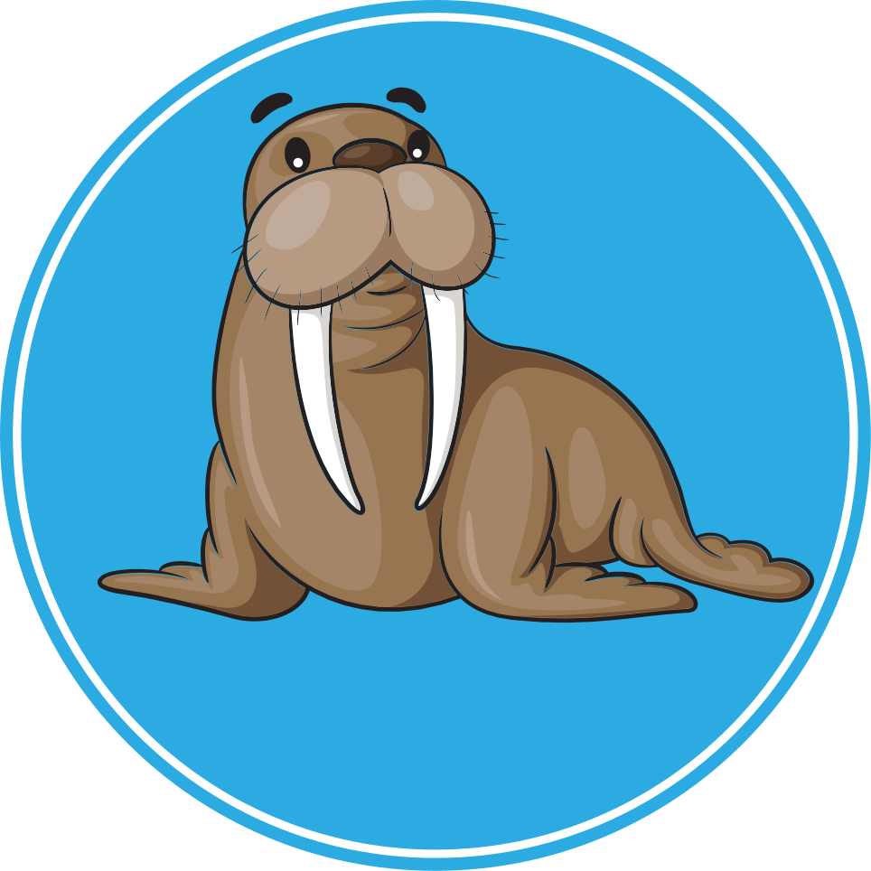 Vinyl teppich tiere mit süßem walross-charakter - TenStickers