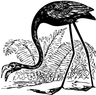 Vinyl teppich tiere flamingo mit farnen - TenStickers