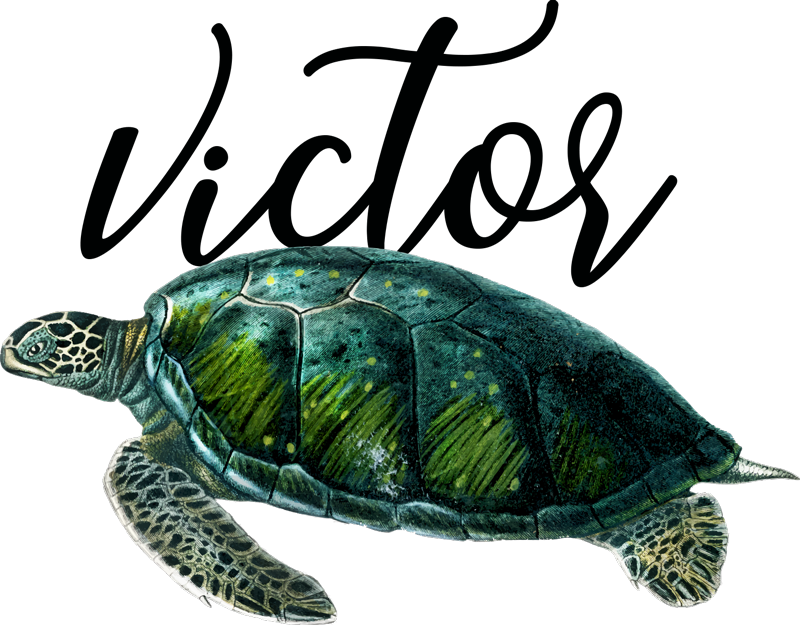 Vinyl teppich tiere mit anpassbarem schildkröten design - TenStickers