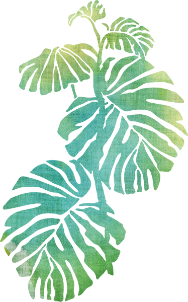 Vinyl teppich blumen aquarella adam's rippe - TenStickers