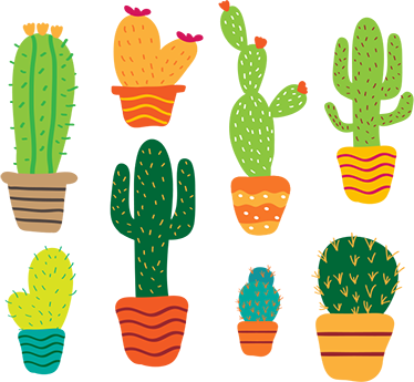 Vinyl teppich blumen buntes kaktus set - TenStickers
