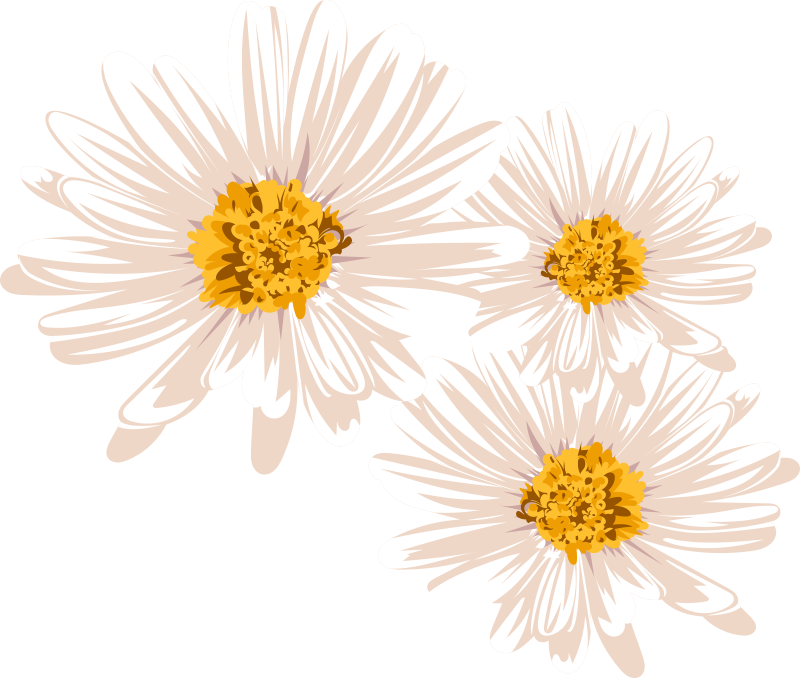 Vinyl teppich blumen charmantes blumenarrangement - TenStickers