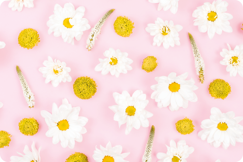 Vinyl teppich blumen in bunten farben - TenStickers