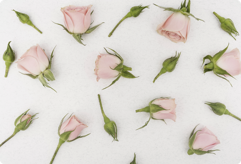 Vinyl teppich blumen romantische frühlingsblumen - TenStickers