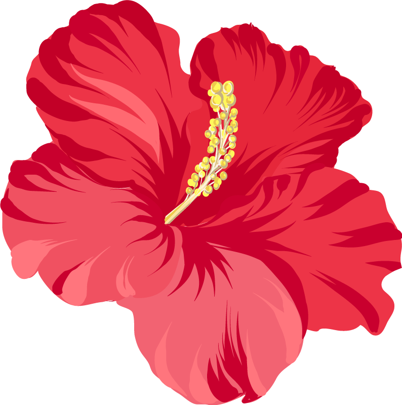 Vinyl teppich blumen rotes hibiskusblumen set - TenStickers