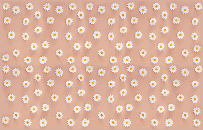 Vinyl teppich blumen modernes gänseblümchenmuster - TenStickers