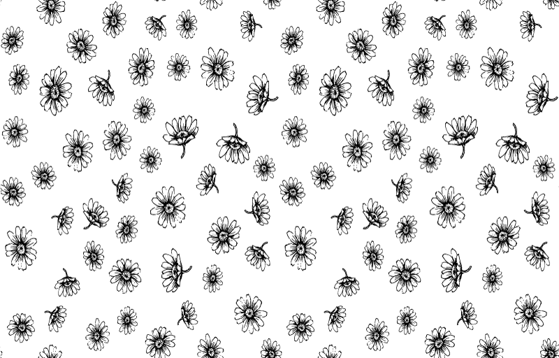 Vinyl teppich blumen set umriss gänseblümchen - TenStickers