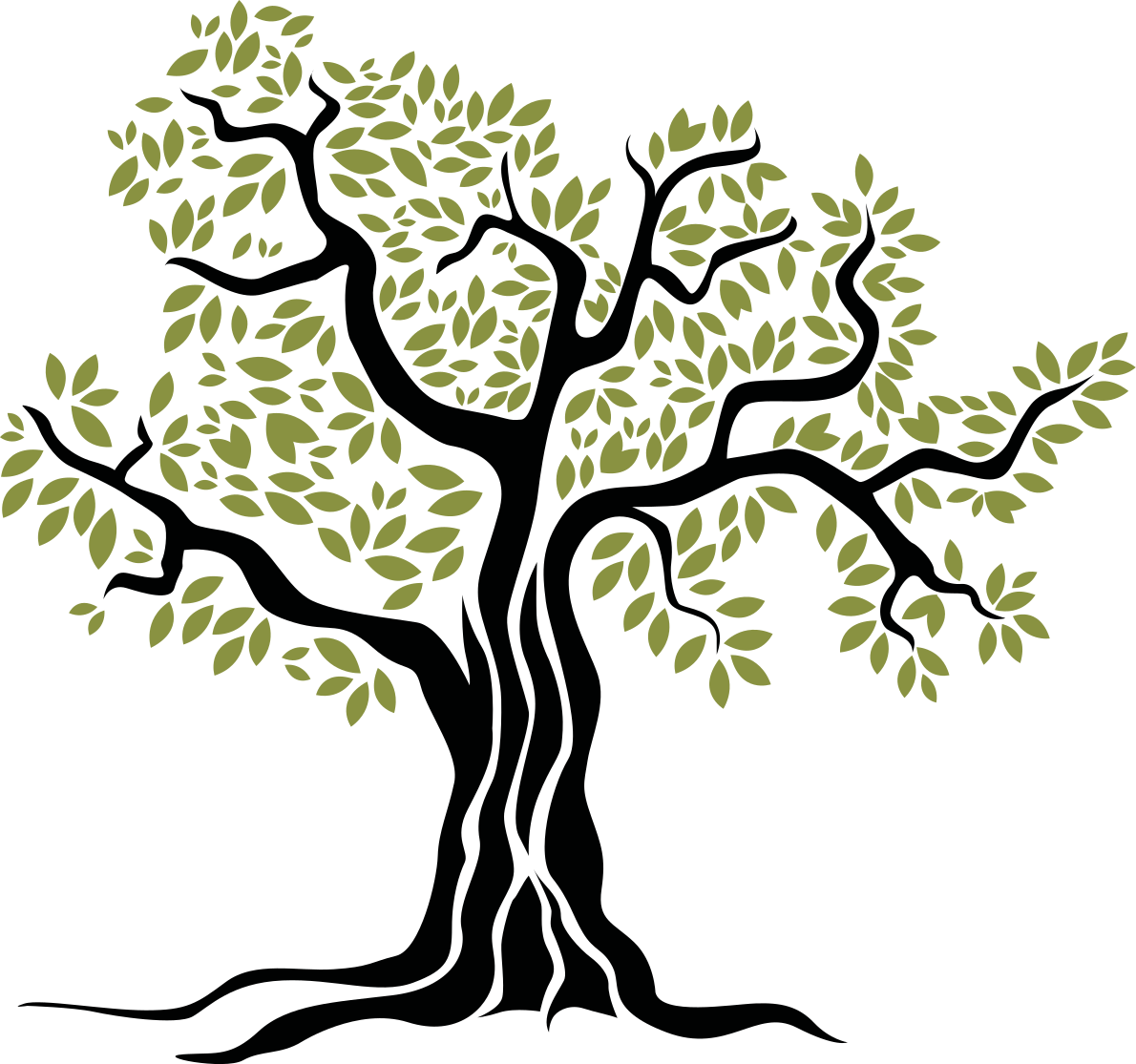 Vinyl teppich blumen olivenbaum mit grünen blättern - TenStickers