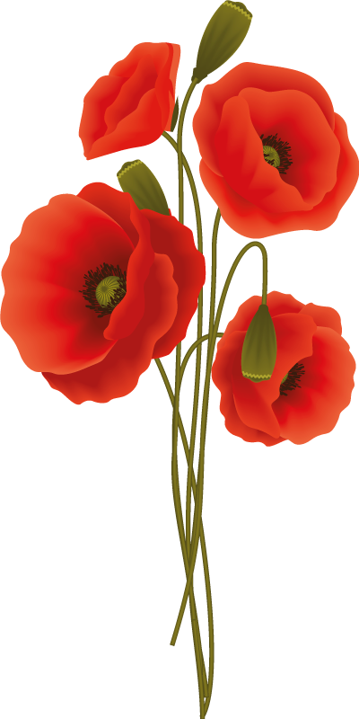 Vinyl teppich bad zarte mohnblumen - TenStickers