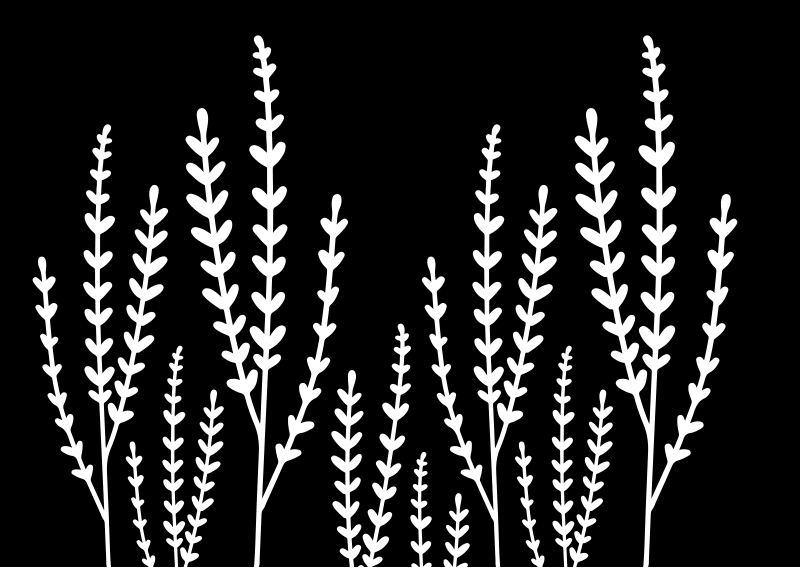 Vinyl teppich bad schwarzweiße spitzen - TenStickers