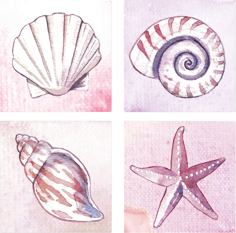 Vinyl teppich bad meereslebewesen fliesen - TenStickers