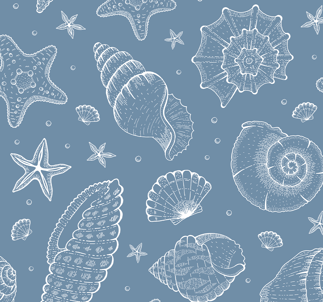 Vinyl teppich schlafzimmer meeresleben und muscheln - TenStickers