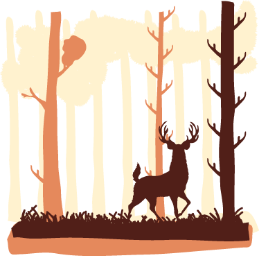 Vinyl teppich natur braun wald und rehe - TenStickers
