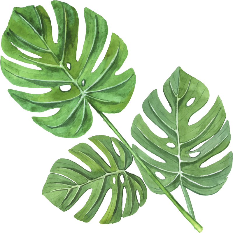 Vinyl teppich blumen mit aquarell monstera blättern - TenStickers