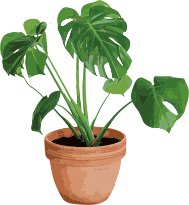 Vinyl teppich blumen einfacher monstera topf - TenStickers