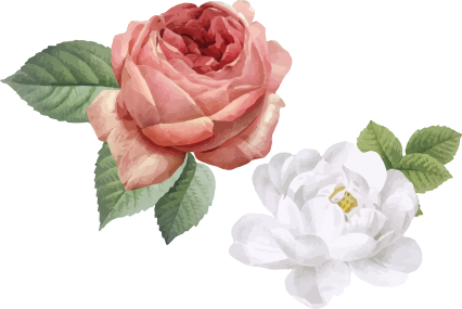Vinyl teppich schlafzimmer mit weißen und rosa rosen - TenStickers