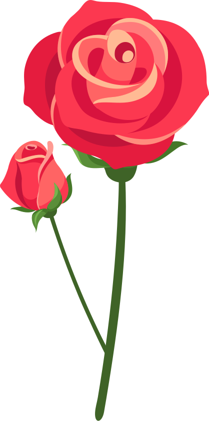 Vinyl teppich schlafzimmer 3d rosen - TenStickers