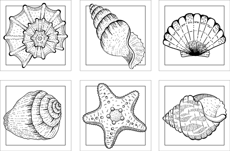 Vinyl teppich bad mit meeresleben und muscheln - TenStickers