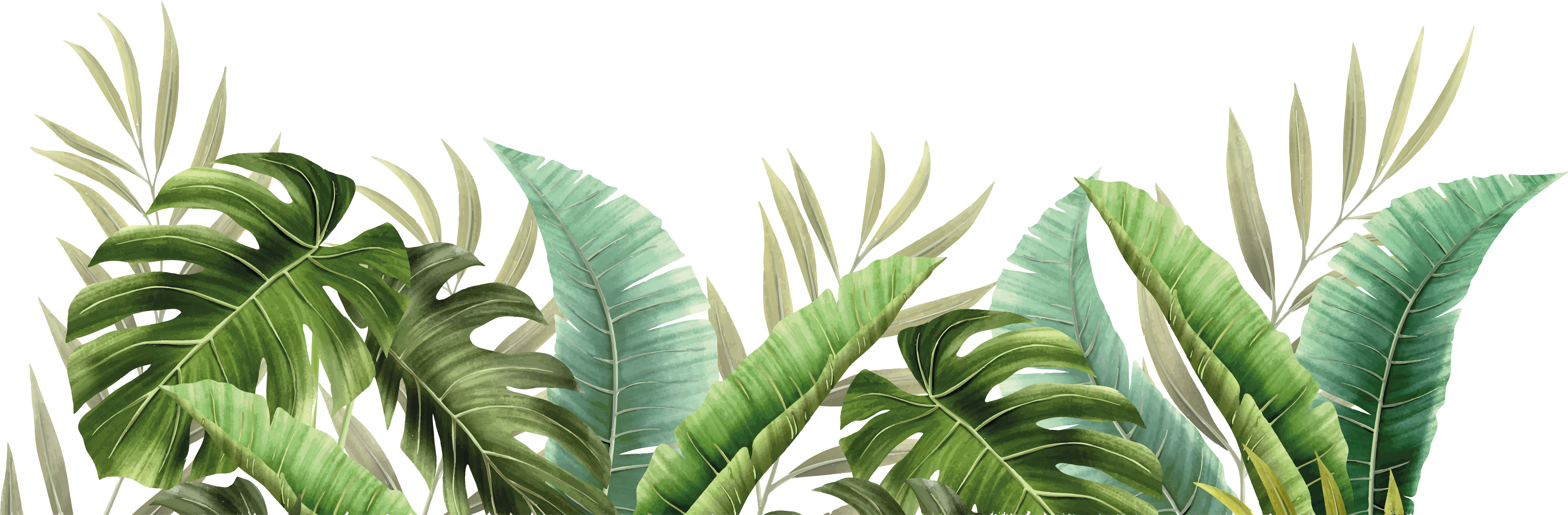 Vinyl teppich bad mit tropischen pflanzen - TenStickers